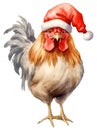 Cute Christmas rooster in red Santa hat isolated on white background. Winter farm chicken watercolor illustration