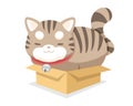 Cute chubby cat sitting box cartoon illustration Royalty Free Stock Photo