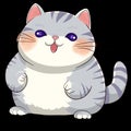 Cute chubby goofy cat Royalty Free Stock Photo