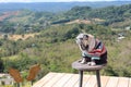 A cute chubby pug travels and sits in the mountain view sitting on a chair with comfort.