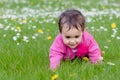 Cute chubby toddler crawling on the grass exploring nature outdoors in the park Royalty Free Stock Photo
