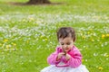 Cute chubby toddler looking at a leaf curiously exploring nature outdoors in the park Royalty Free Stock Photo