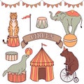 Cute circus animals set Royalty Free Stock Photo