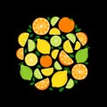 Cute Citrus Delight Fruits Lemon, Lime and Orange background in vivid tasty colors