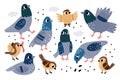 Cute city birds. Funny street sparrows and pigeons. Different poses and actions. Cartoon characters with wings and beaks