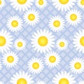 Cute classic daisy flowers seamless pattern