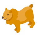 Cute clean dog icon isometric vector. Spa grooming