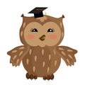 Cute clever owl on a white background