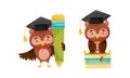 Cute clever owls set. Owlets in graduation cap with pencil and books cartoon vector illustration