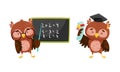 Cute clever owls set. Owlets standing at blackboard and holding diploma cartoon vector illustration