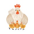 Cute clocking hen standing with yellow chicken and covering them with wings. Funny mom and baby birds. Colorful textured