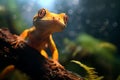 Cute close-up of a Gecko in a tree trunk with moss in the forest. Amazing wildlife. Generative Ai