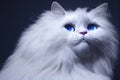 Close up portrait of a gorgeous fluffy ragdoll cat with blue eyes, generative AI Royalty Free Stock Photo
