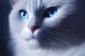 Close up portrait of a gorgeous fluffy ragdoll cat with blue eyes, generative AI Royalty Free Stock Photo