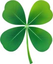 a cute Clover\'s leaf icon.