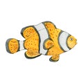 Cute clown fish on white background