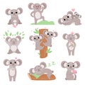 Cute Coala Bears Set, Funny Animal Cartoon Characters in Various Poses and Situations Vector Illustration