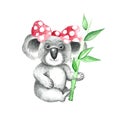 Cute coala illustration isolated on white background