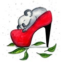 Cute coala sleeping in the red woman`s shoes