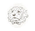 Cute cockapoo dog puppy with bow-tie vector illustration.