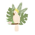 Cute Cockatoo with palm and monstera leaves, exotic flower. Exotic bird, Tropical parrot. Trendy Cartoon Vector illustration.