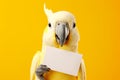 a cute cockatoo parrot holds in its paws a white sheet of paper with a place for text,on a plain yellow background,a mockup for an