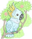 Cute cockatoo parrot sitting on branch funny illustration