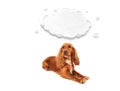 Cute cocker spaniel with cloud Royalty Free Stock Photo