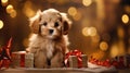 Cute cocker spaniel puppy and Christmas gift boxes bokeh background