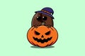 Cute Coffee bean cartoon hide in pumpkin halloween Royalty Free Stock Photo