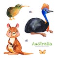 Cute collection with cassowary, kiwi bird, kangaroo, butterfly, stones