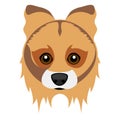 Cute collie dog avatar