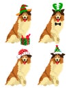 Cute Collie dog in a New Year hat