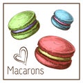 Cute color macarons drawing isolated on white. vector Sketch of macaroons in vintage style. engraved pastry illustration