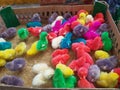 cute colored chicks Royalty Free Stock Photo