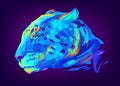 The cute colored jaguar head Royalty Free Stock Photo