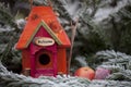 Cute Colorful Birdhouse In Winter Royalty Free Stock Photo