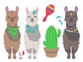 Cute colorful cartoon llama or alpaca with cactus and mexican rumba shaker graphic design vector illustration set Royalty Free Stock Photo