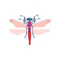 Cute Colorful Dragonfly Insect, Top View Vector Illustration