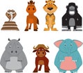 Cute colorful exotic animals collection