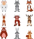 Cute colorful exotic animals collection