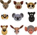 Cute colorful exotic animals collection