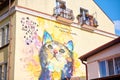 Cute colorful graffiti cat on house wall, bright decoration of urban space in big city or small town Royalty Free Stock Photo