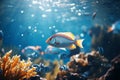 Cute colorful group underwater fish sea ocean aquarium beautiful tropical coral reef. Oceanarium animal wildlife marine Royalty Free Stock Photo