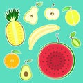 Cute colorful half fruit stickers set