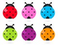 Cute colorful Ladybug set Royalty Free Stock Photo