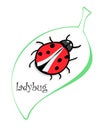 Cute colorful ladybugs clip art on white background Royalty Free Stock Photo