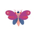 Cute Colorful Moth Insect, Top View Vector Illustration