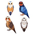 Cute colorful Owls. Vector set of different owls isolated on white background. Bird cartoon illustration halloween character Royalty Free Stock Photo