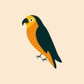 Cute colorful parrot hand drawn vector illustration. Funny exotic parakeet bird in flat style for kids logo.